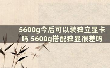 5600g今后可以装独立显卡吗 5600g搭配独显很差吗